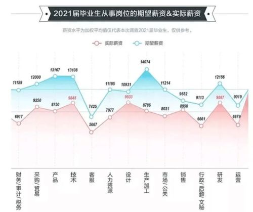 应届毕业生的就业优势论文