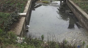 废污直排河道 常熟部分地区环境污染严重