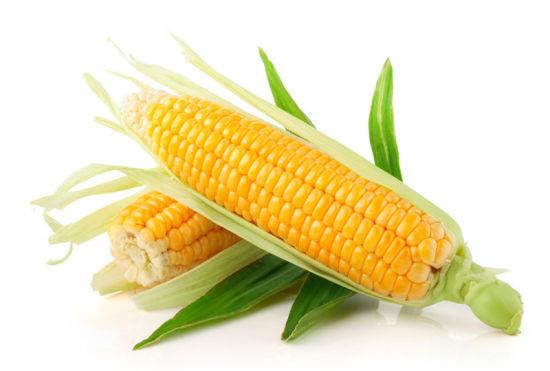 甜玉米转基因，甜玉米是转基因吗