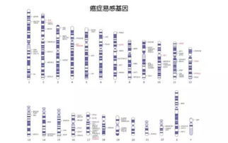 你还在看星座 看基因检测才靠谱好吗