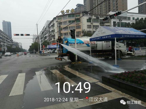 奔跑丨枝江城管助力2019迎春长跑