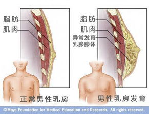 原创怀孕时乳房有这些异常表现？哪些情况是正常的？