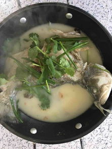 鲈鱼汤的做法 菜谱 
