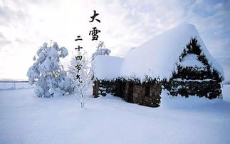 唐山已进入 冷冻模式 想知道今年冬天的第一场雪什么时候来吗 赶紧看 