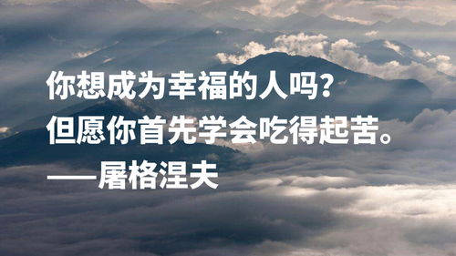 人生追求名言_人不能贪图享乐而要追求卓越的历史名言？