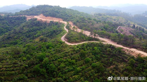 自驾江门鹤山,用一场旅行回归生活