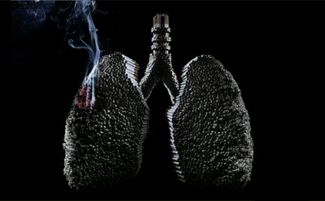 全球肺癌关注月 已启动,呵护 肺常健康 