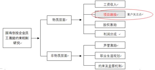 国有创投企业员工激励和约束机制研究案例