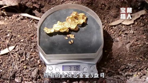 黄金猎人 废铁 变 黄金,连续5小时,再次挖出惊喜 纪录片 