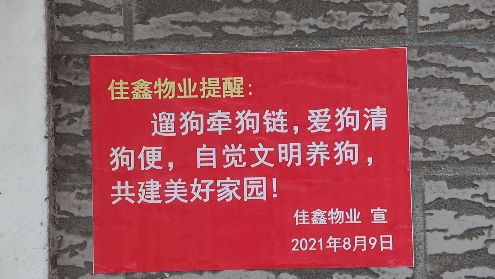 遛狗牵绳 宝清这个小区物业率先 规范