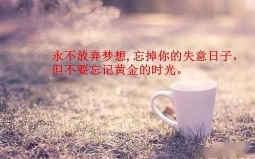 朋友圈正能量爆棚的个性签名,简短气质,值得收藏