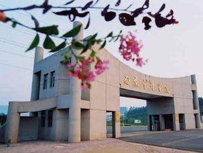 南京审计学院专业(南京审计学院有哪些专业)