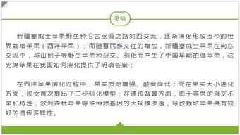 如何正确使用查重文献角标？这里有答案