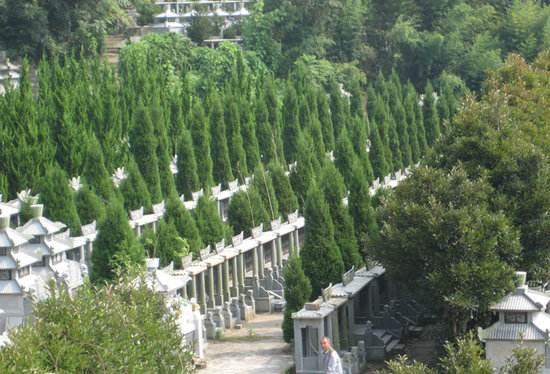 杭州4000户居民投诉 开窗见墓碑山景房变成坟景房 我们买房不是为了祭拜方便