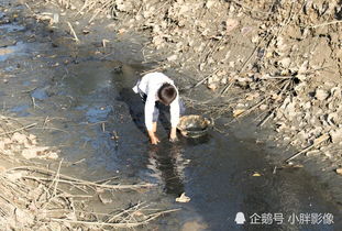 农村父子污水中捞鱼 网友称 场景看了很心酸