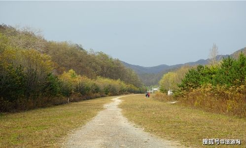 秦朝到底有多牛 造世界第一条 高速公路 ,2200年荒草不生