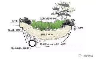 什么是海绵城市 如何做海绵城市 怎样才能实现在城市里遇到大自然的愿望 