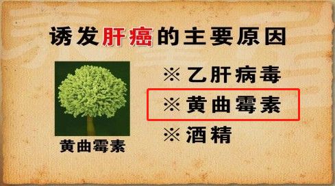 烟草大户存在的利与弊：香烟大户是谁啊！ - 1 - 680860香烟网