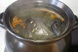 炖乌鸡汤时,是加热水还是冷水 40年大厨 放错营养流失一半