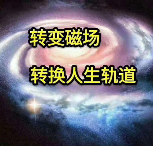 数字能量学之天医磁场