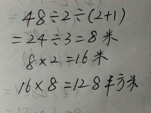 一块长方形菜地周长是238米，它的长是宽的2.4倍，这块菜地的面积是多少平方米？