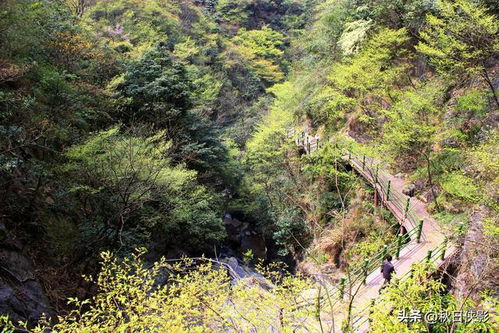 离杭州1小时车程,这山谷以竹景 瀑布和古村著称,五一出行推荐