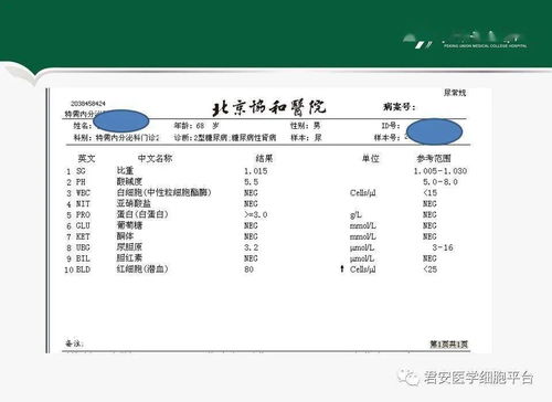 冷球蛋白病例