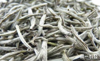 贵州格林镇 大力培植和发展白茶产业 拓宽增收渠道