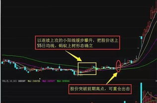 建研院股价突破BBI均线，多头能否保持？