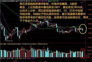 股市会跌到多少点，大盘会崩吗