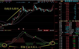 东方神州数码股票王G3201手机有什么功能?