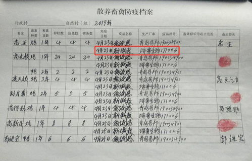镇动物防疫站被举报发放疑似假疫苗,河南襄城农村局 正核对 