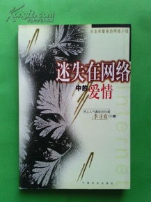 迷失在网络中的爱情 2000年1版1印