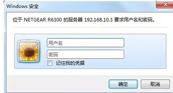 网件路由器wnr2022，R6300等怎么设置