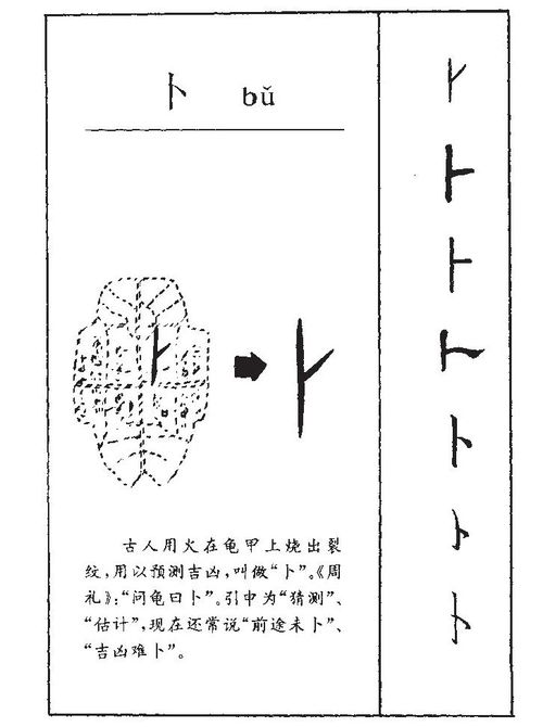 卜的意思 卜字五行属什么 卜字取名的寓意 