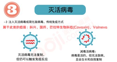 新州州长 首剂疫苗接种率已达70 解密各大新冠疫苗,我也想研发疫苗可以学哪些专业呢