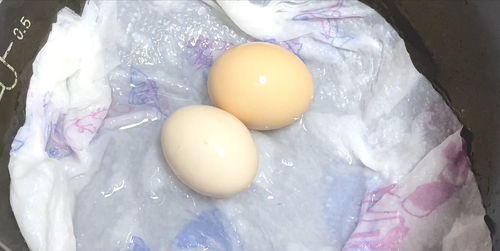 鸡蛋别再用水煮了,保姆教你新方法,只需1分钟,鸡蛋鲜嫩不粘壳