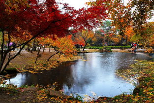 一月二月适合去哪旅游 (一二月份适合去哪里旅游)