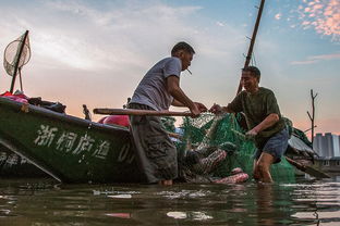 劳动,最美丽 