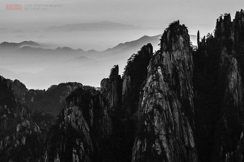 黄山最美风景不在迎客松,而在这片峡谷中,一般游客去的比较少