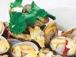 海贝的做法(海贝的产量很高肉肥鲜美,海贝都有哪些好吃的做法吗)