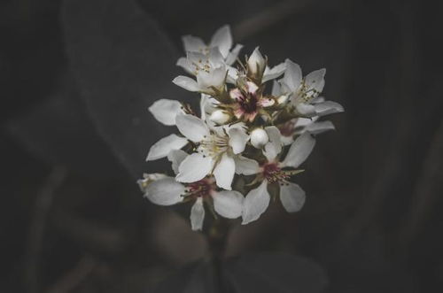 3月下旬,不忘初心,不抛旧情,水瓶座回眸再相爱,余生不相离