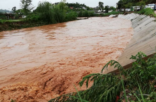 河水暴涨 道路中断...玉溪华宁遭遇50年一遇洪水 