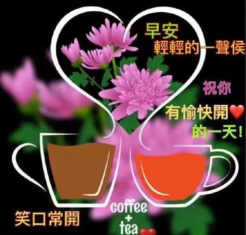 温暖的早上好鲜花祝福动态图片,冬季微信早上好温馨祝福送给大家