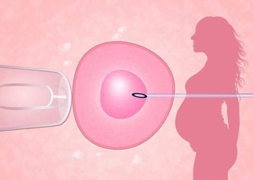 子宫内膜结核异常病灶，可以试管助孕吗