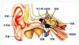 治疗外耳道炎费用高吗 