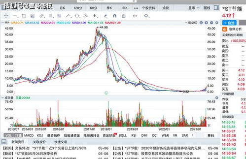 07年初涨幅最大的是哪几支股票？