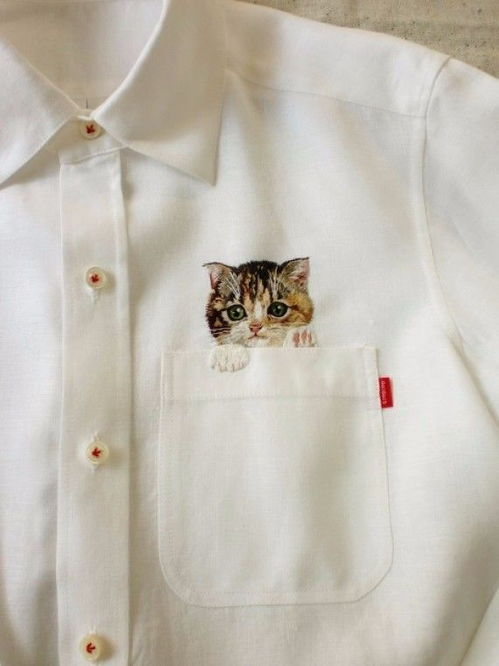 日本萌猫衬衫卖到爆 1800元一件 ,数码印花又学一招 
