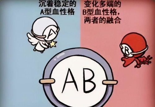 A型 B型 AB型 O型,哪种血型的人 体质好 听听医生怎么说