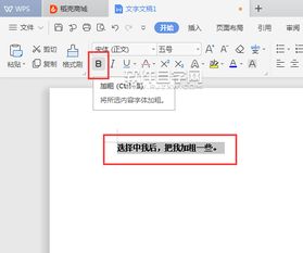 wps文本中怎么加粗字体